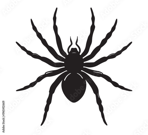 A detailed, high-contrast illustration of a black spider with eight long legs, viewed from above against a white background, emphasizing its arachnid features and silhouette