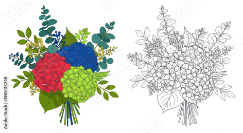 Colorful Hydrangea Bouquet with Eucalyptus Leaves - Hand Drawn Illustration
