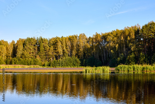 Serene Riverbank Scene with Lush Greenery