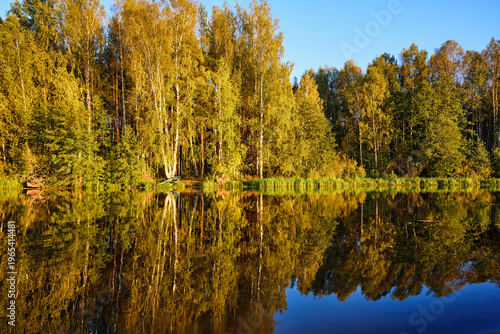 Tranquil River Reflections of Autumn Trees