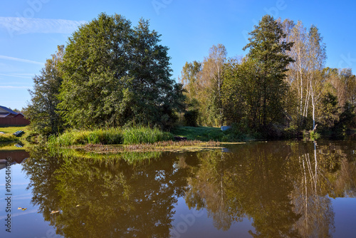Serene Riverbank Scene with Lush Greenery
