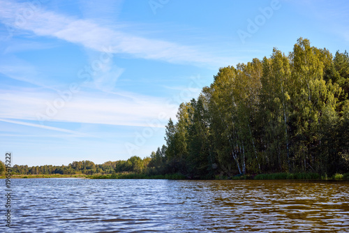 Serene Riverbank Scene with Lush Greenery