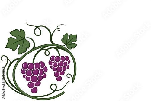 Ornate green vine frames two bunches of ripe purple grapes