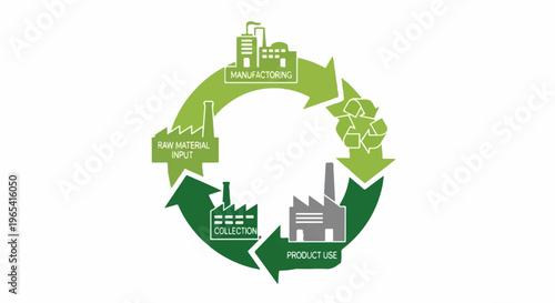 Circular economy diagram showing raw material input, manufacturing, product use, and collection