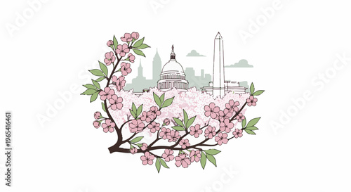 Cherry blossoms frame iconic capitol building and monument in Washington D.C