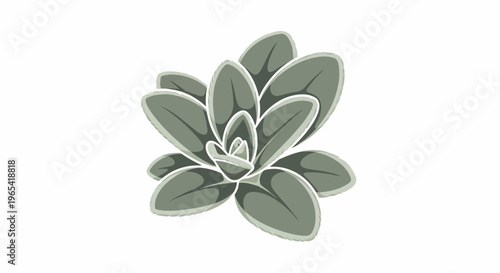 Stylized succulent plant with layered green leaves on white background