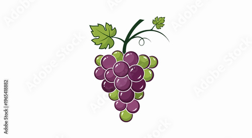 Vibrant bunch of purple and green grapes with leaves on a vine