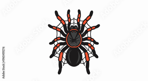 Stylized tarantula with orange markings on a web background
