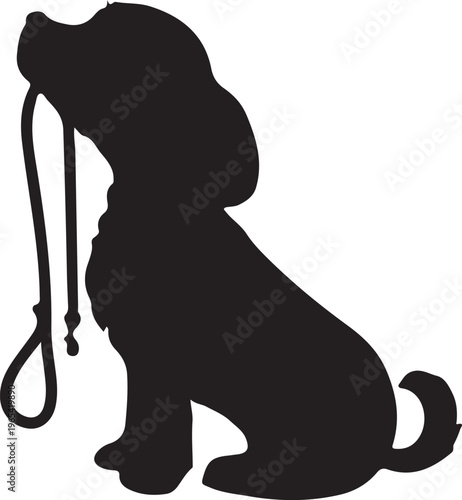 Silhouette of a cute puppy sitting and holding a leash in its mouth