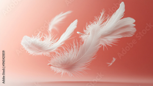 Soft white feathers float gently downwards in warm sunlight on pink background.