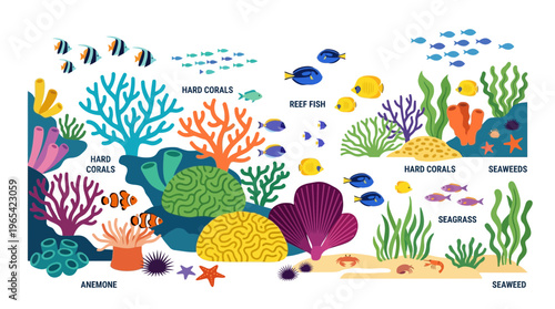 Vibrant Underwater Coral Reef Ecosystem Illustration with Colorful Marine Life, Exotic Fish, and Aquatic Flora