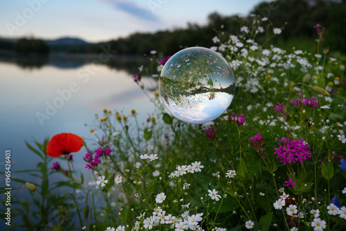 Glassphäre am Frühlingsufer der Donau