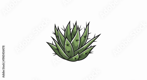 A stylized green succulent plant with sharp, spiky leaves on a white background
