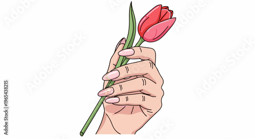 Elegant hand holding a single vibrant red tulip with manicured nails
