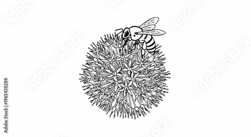 Detailed line art of a bee collecting nectar from a spherical flower