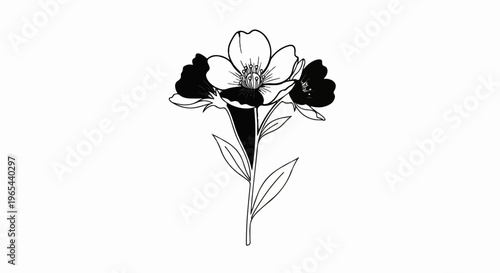 Stylized black and white illustration of a flowering plant with three blossoms