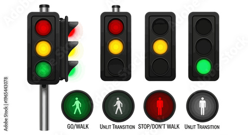 Traffic lights and pedestrian signals mounted on a pole with clear indications
