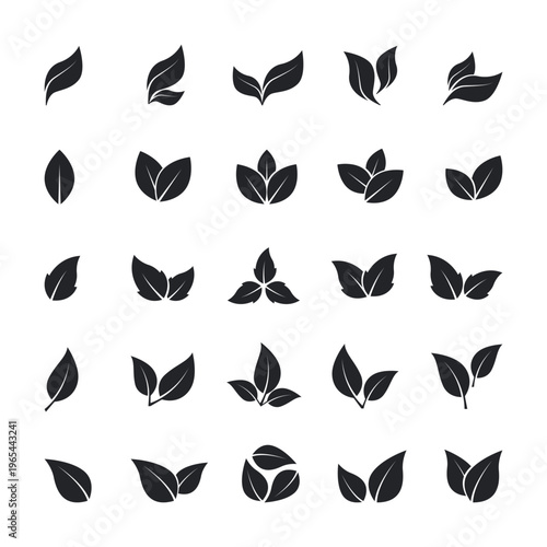 Leaf silhouettes icons. Simple black leaves, tree branch foliage shapes, eco organic natural symbols and botanical elements flat minimalist style on white background. Vector set