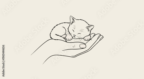 Delicate line drawing of a tiny kitten sleeping peacefully in an open hand