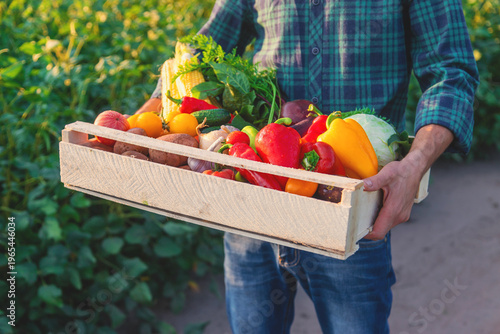 A man farmer holds vegetables in his hands. Selective focus.