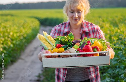 A woman farmer holds vegetables in her hands. Selective focus.