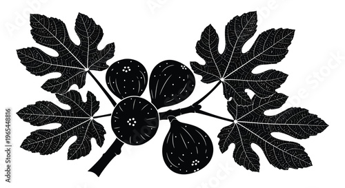 A detailed illustration displays several figs and leaves in a striking black design a bold silhouette high quality