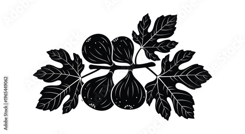 A detailed depiction of fresh figs and leafy branches presented in a striking black silhouette high quality professional