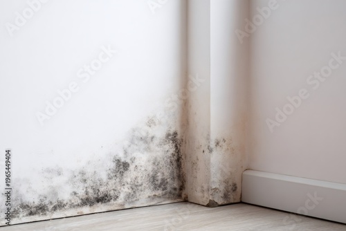 Black mold growing on a damp wall in the corner of a room. Fungus and mildew caused by water damage and humidity. Home interior problem concept