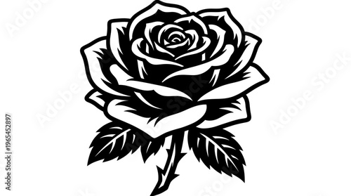 Elegant black and white rose flower vector illustration with sharp thorns and detailed leaves on a plain background, ideal for tattoo design, wedding invitation and floral pattern