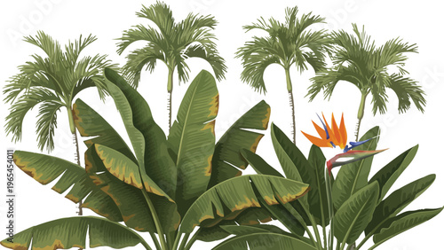 Tropical plants with palm trees and bird of paradise flower