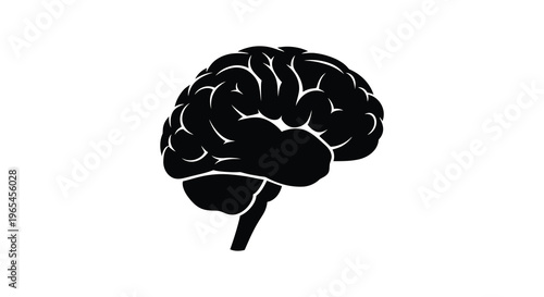 A detailed illustration of a human brain showcasing its complex structure in a stark black silhouette high quality