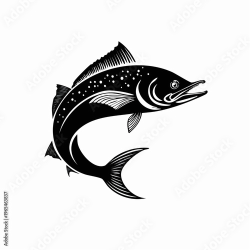 Elegant monochrome vector illustration of a trout fish gracefully leaping upward ready to hook