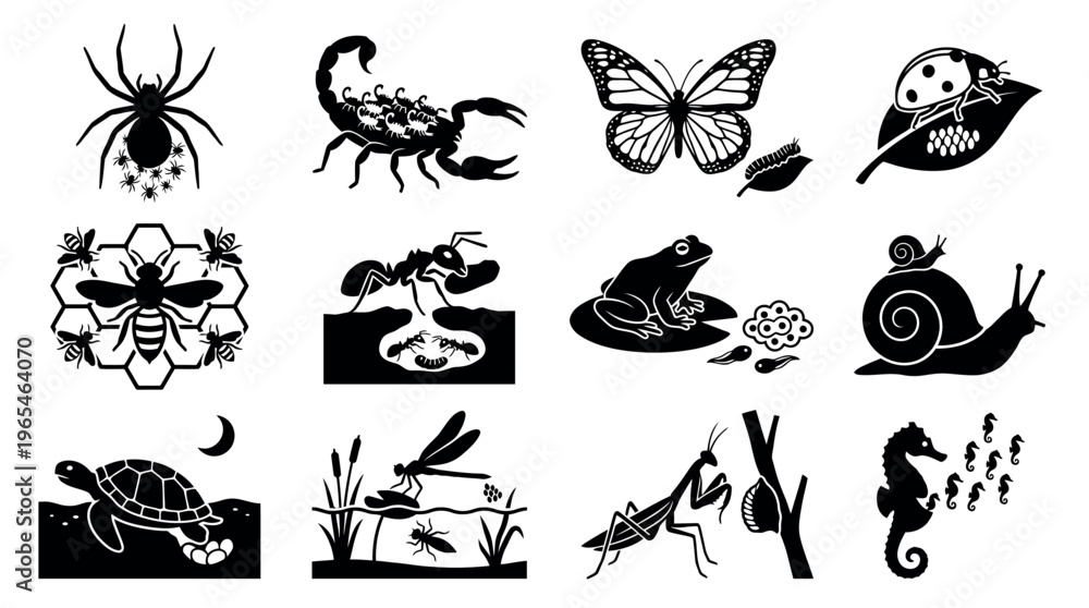 Fototapeta premium Educational biological life cycle and insect behavior icons for nature study and environmental science curriculum materials