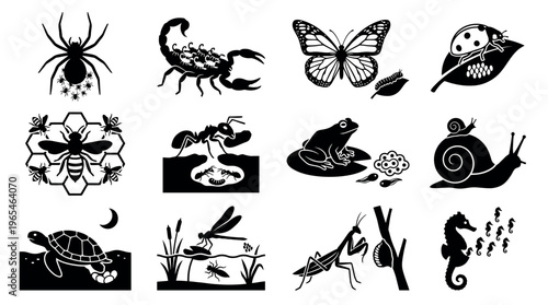 Insect and Small Creature Maternal Care Silhouette Icon Set Showing Reproductive Parenting Behavior Across Invertebrate Species
