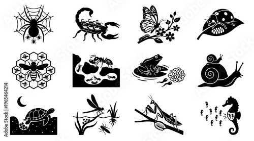 Insect and Small Creature Maternal Care Silhouette Icon Set Showing Invertebrate Reproductive Parenting Behavior in Nature