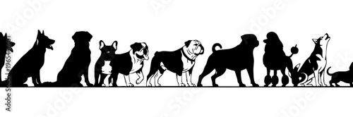 A group of dogs in various breeds and sizes isolated on transparent background, Vector