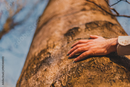 Low Angle View of Hand Touching Tree Trunk