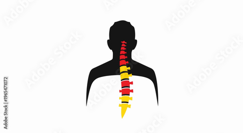 Stylized silhouette of a human torso with a colorful spine