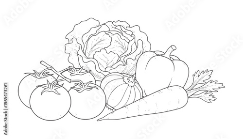 Line of assorted fresh vegetables including tomatoes cabbage bell pepper carrot and squash