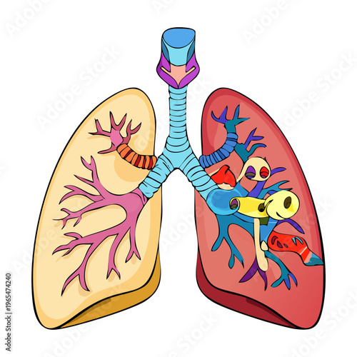 Intricate anatomical lungs illustration featuring mechanical parts and gears representing the complex biological machinery of the human respiratory breathing system