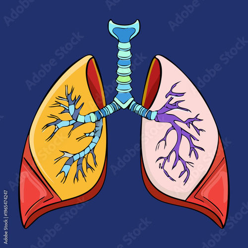 Unique human lungs design with golden liquid and droplets representing luxury wellness or the precious nature of breathing and respiratory health