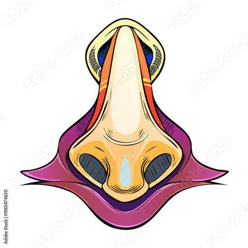 Detailed anatomical illustration of a human nose and its internal air passages for understanding respiratory and olfactory system functions and health