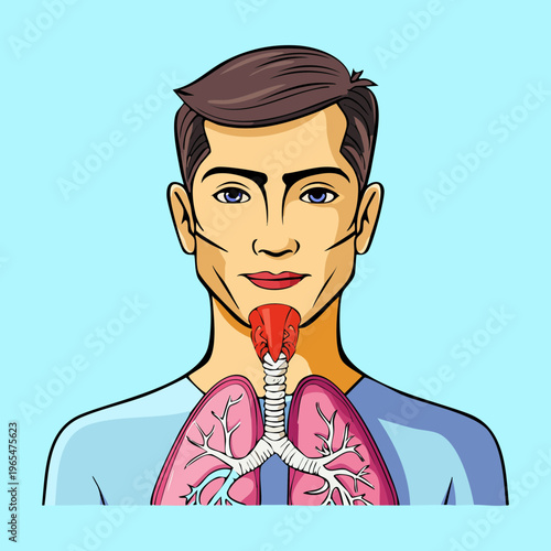 Male upper body anatomy showing larynx and trachea for respiratory health education and medical professional training and clinical science research purposes