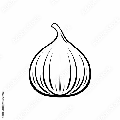 Fig drawing minimalist style for healthy eating and creative fruit design graphic element