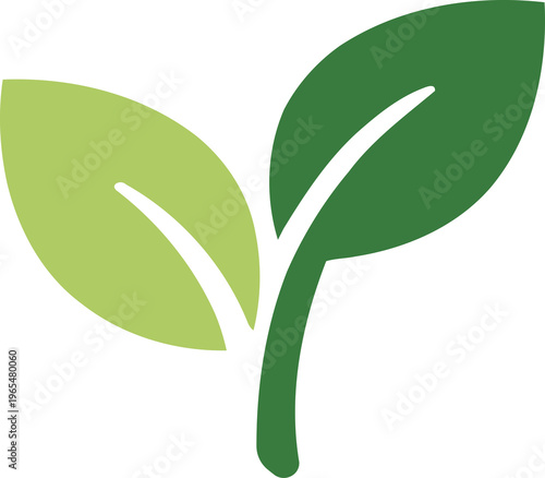 Green plant sprout with two leaves. Flat illustration of a growing seedling