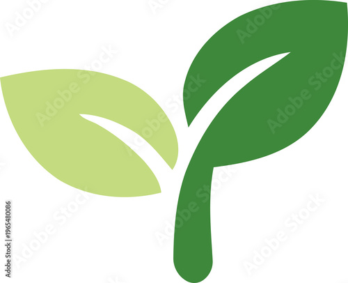 Fotografie Green plant sprout with thick stem and two leaves