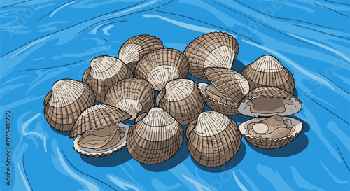 A pile of clam shells rests on blue wavy water