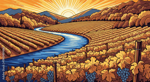 A winding river flows through sunlit vineyards under a bright sky