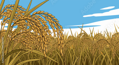Golden rice stalks sway gently under a clear blue sky with wispy clouds