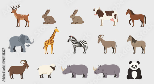 Collection of various wild animals.